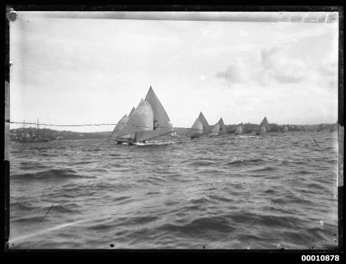 18-footer fleet on Sydney Harbour