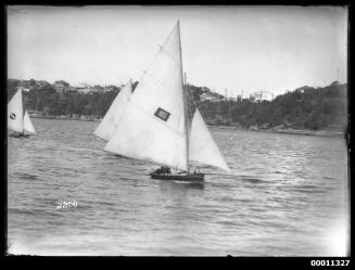 16-foot skiffs on the Parramatta River, INSC 2208