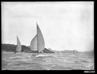 SCARAB (P2) and BELLBIRD (A42) off Nielsen Park with spinnakers set