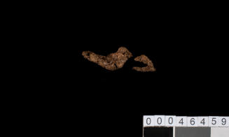 Piece of rope from the wreck of the VERGULDE DRAECK