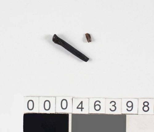Wooden nail excavated from the wreck of the VERGULDE DRAECK