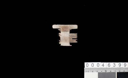 Comb fragment from the wreck site of the VERGULDE DRAECK