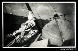 Cruising off the coast of New South Wales