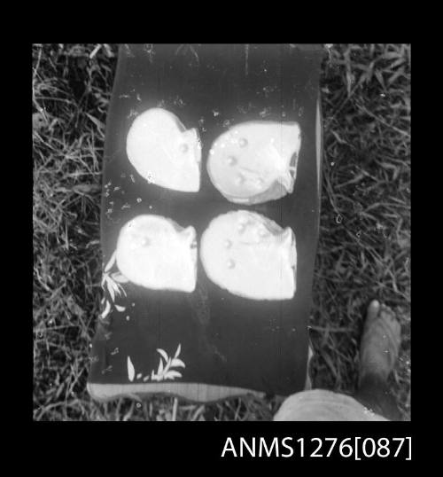 Four pearl shells with blister pearls, on Pearl Island