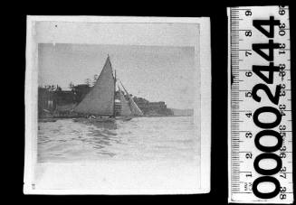 Cutter sailing near Kirribilli Point, Sydney Harbour