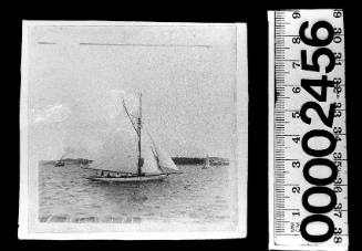 Starboard view of a white-hulled cutter on Sydney Harbour, New South Wales
