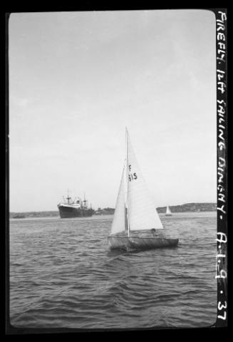 12 foot dinghy FIREFLY on Sydney Harbour
