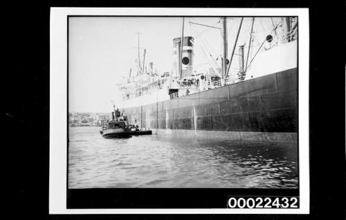 Collision in harbour of MACUMBA and SYDNEY STAR with lighterage tug STORM KING