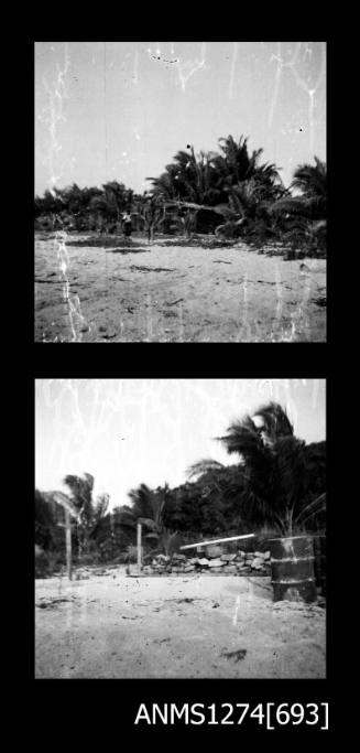 Person standing in front of palm trees on Packe Island, and a rock fence