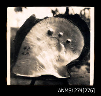 A pearl shell with three blister pearls, and numbers and letters written on the shell, on Packe Island