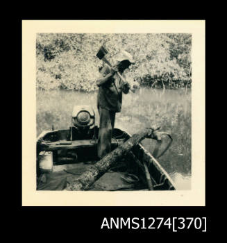 A man standing in a boat, holding an axe, and cutting a mangrove tree, on Packe Island