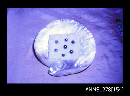 35mm colour transparency of a pearl shell with seven pearls placed on it