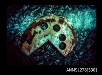 35mm colour transparency of a partially cut pearl shell with four holes cut out, and marked indentations for cutting