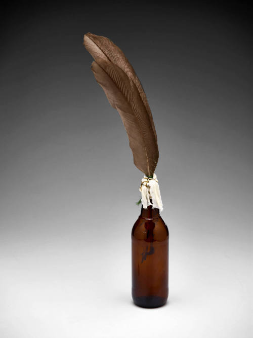 The nips are getting bigger / I'd better go get somethin' harder #14 (beer bottle)