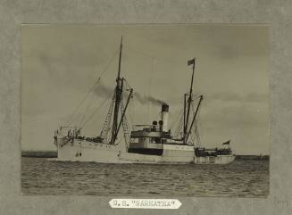 SS WAREATEA