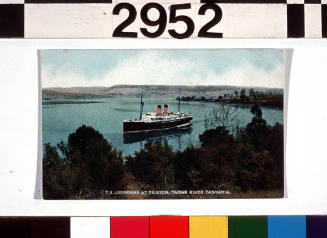 TS LOONGANA at Dilston, Tamar River, Tasmania