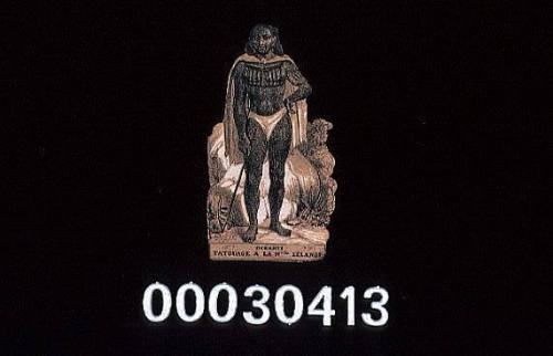 Oceanie card from the game Le Tour de Monde