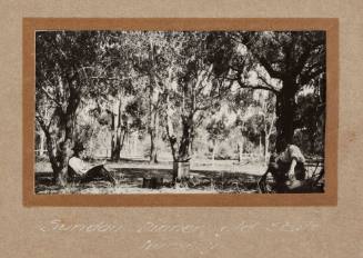 Sunday dinner, old state nursery