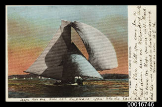 Postcard of a sailing boat WHITE WINGS on Sydney Harbour posted on 23 May 1905