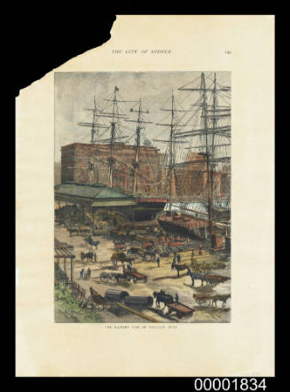 The Eastern Side of Circular Quay