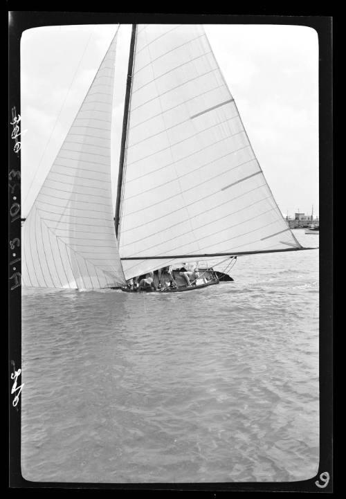 Bermuda dinghies on Sydney Harbour