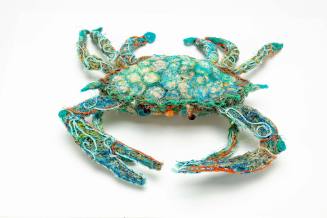 Blue Swimmer Crab