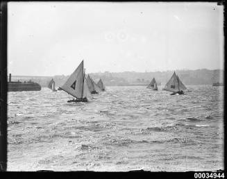 Yacht racing near a ferry in Sydney Harbour