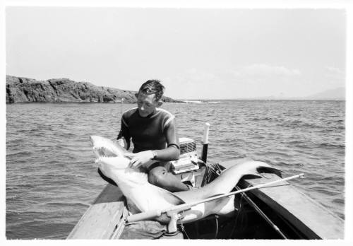 Shot of person holding the head of a caught shark on board a dinghy at sea