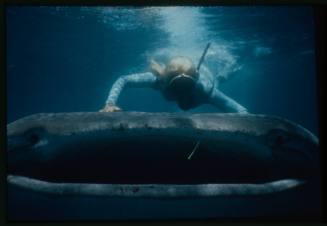 Underwater medium shot of front view of Whale Shark mouth with Valerie Taylor snorkelling above