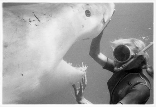 Black and white underwater shot of Valerie Taylor freediving facing a shark holding it's snout and lower jaw