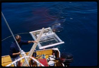 Boat and shark cage in the water