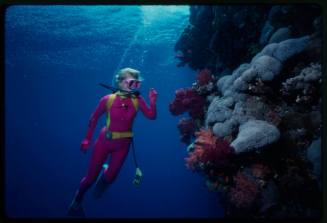 Valerie Taylor diving next to coral reef wall