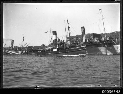 The tug CHAMPION at Dalgety's Wool and The Grain Store in Millers Point