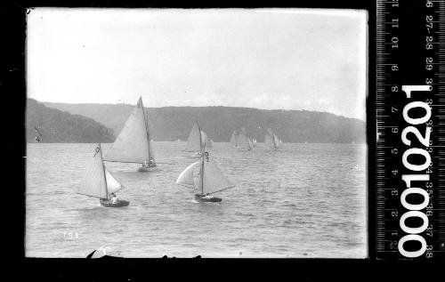 Two Cadet dinghies, D1 and D7, sailing on Sydney Harbour