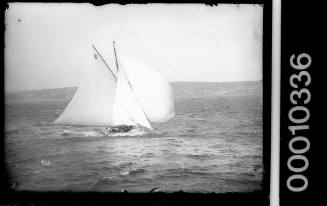 RAWHITI sailing on Sydney Harbour