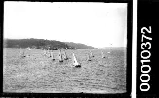 16-foot skiffs on Sydney Harbour