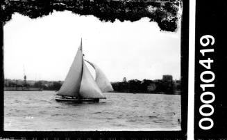 21-foot restricted class yacht NETTLE (C8) on Sydney Harbour