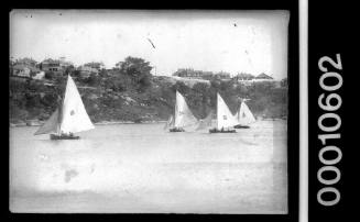 Skiff racing on Sydney Harbour