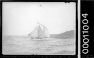 Large Coach- house cabin yacht sails on main  Sydney Harbour