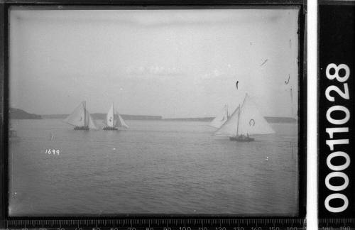 18-footers on Sydney Harbour