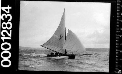 Starboard view of a yacht under sail with spinnaker and the letter 'V' printed on the mainsail, Sydney Harbour