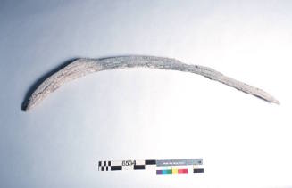Whalebone ribcage