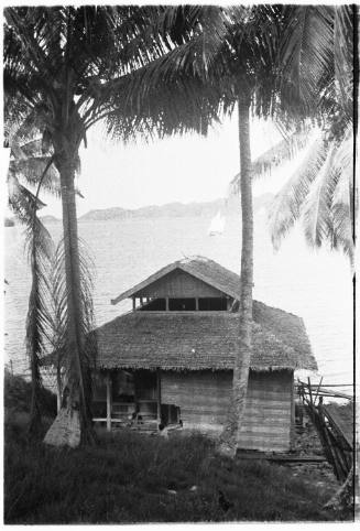 View of a hut on the water's edge framed by palm trees 