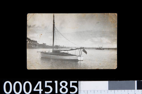 IKA VULEA at Iron Cove