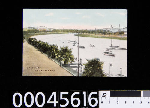 River Yarra from Princes Bridge