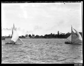 Two 14-footers on Sydney Harbour