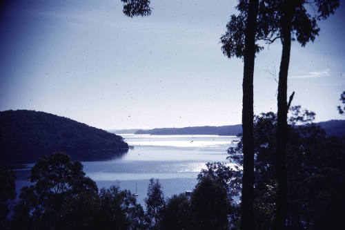 Image showing water through trees