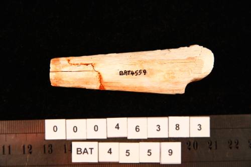 Knife handle