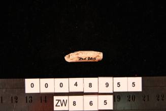 Clay pipe fragment, excavated from the wreck site of ZEEWIJK
