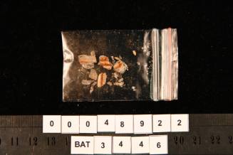 Bottle top fragments